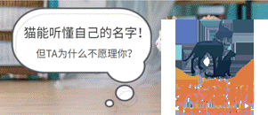 研究证明猫能听懂自己的名字！但TA不愿理你？