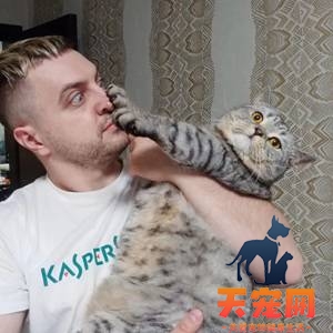 研究证明猫能听懂自己的名字!但TA不愿理你?