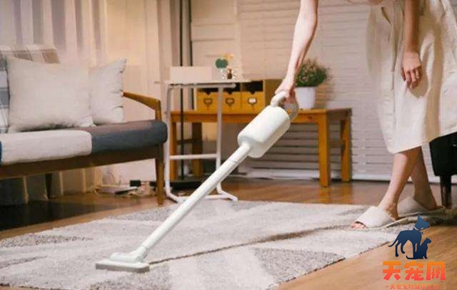 怎样除猫尿过的地方的臭气