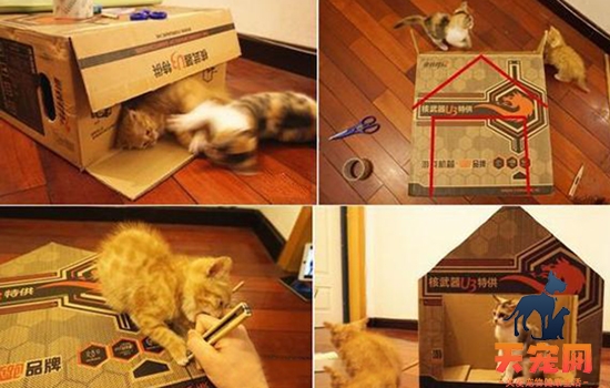 用纸盒箱做豪华猫房子 小白也能学会的实用教程