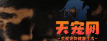 豹猫有几种花纹 豹猫花纹图片