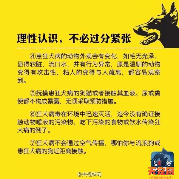 被猫咬了没打针有事吗 正确看待狂犬病