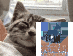 抑郁养猫还是养狗 宠物可辅助治疗抑郁症已被证实！