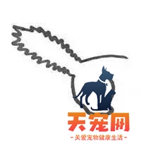 猫尾巴炸毛怎么回事 尾巴炸毛的信息你都掌握了吗猫尾巴炸毛怎么回事
