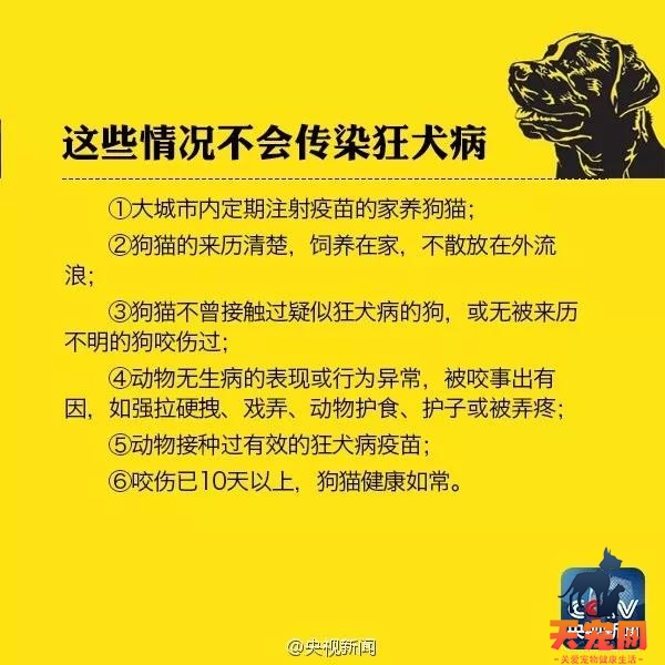 猫隔着裤子抓出血印子 会患狂犬病吗？