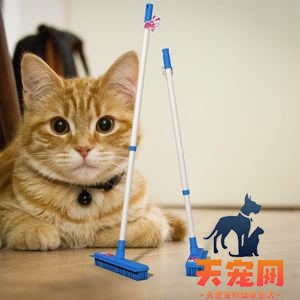 猫为什么喜欢咬扫把上的毛 猫为什么喜欢吃扫把
