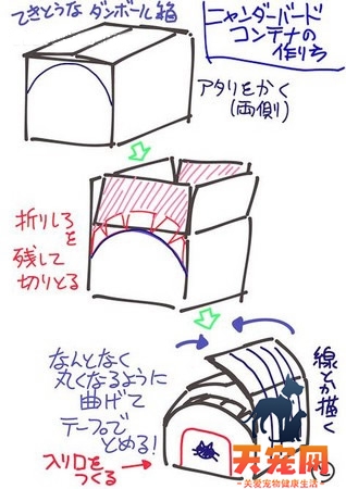 怎么用纸箱做猫窝