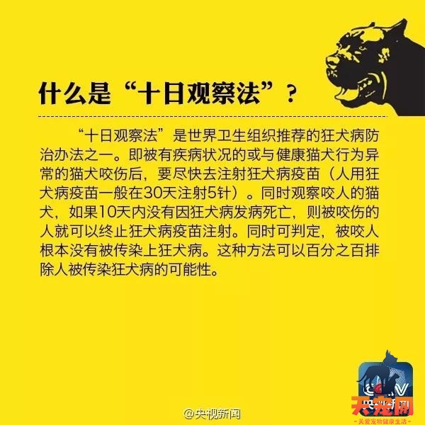 被猫咬了没出血有事吗 没流血不代表皮肤没破损!