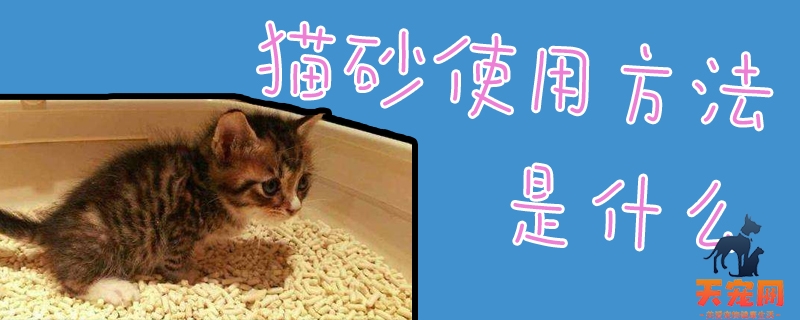 猫砂使用方法是什么