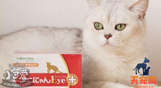 猫吃赖氨酸的好处 猫咪一天该吃多少？