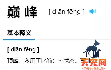 巅峰猫粮多少钱一斤 说出来我的心都痛了...
