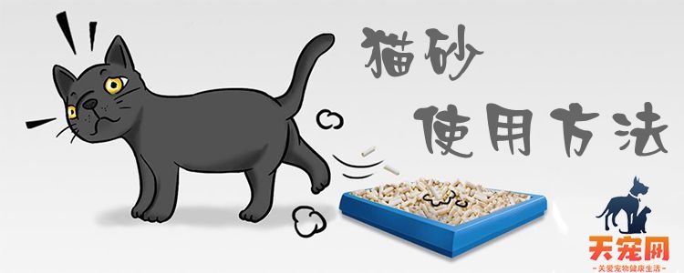 猫砂使用方法1