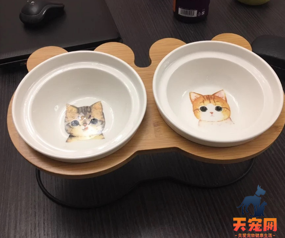 猫喝水用什么容器好  猫水碗材质也是有讲究的！