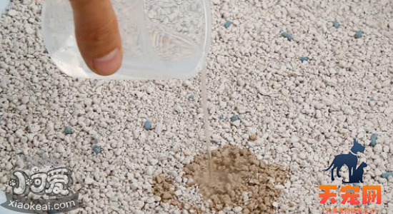 膨润土猫砂怎么样 膨润土猫砂的优缺点