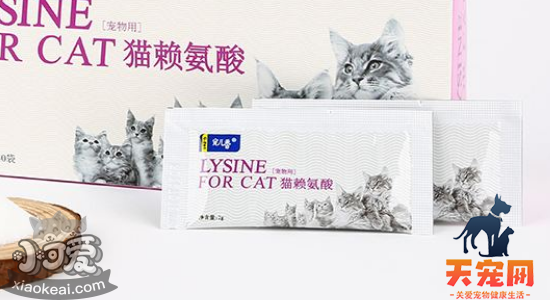 猫吃赖氨酸的好处 猫咪一天该吃多少？